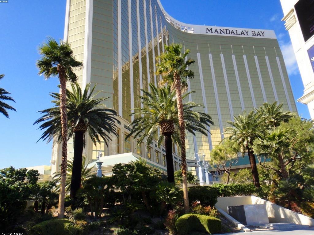 យុទ្ធសាស្ត្រ​សម្រាប់ការលេងកាស៊ីណូ​ដោយមានជោគជ័យ